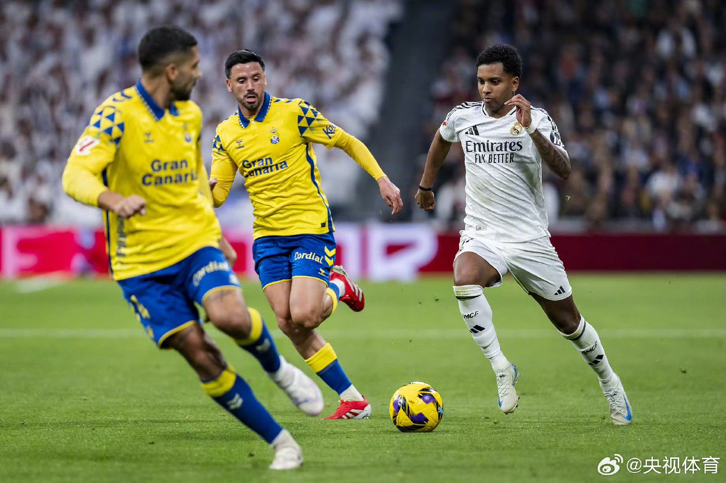 科尔多瓦vs皇马_(科尔多瓦vs皇家社会)  第1张