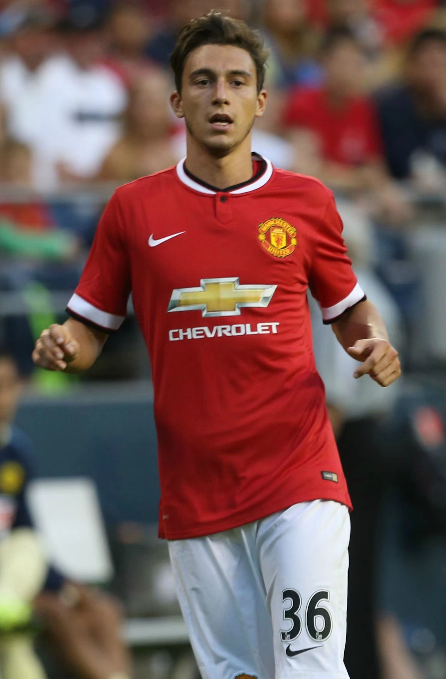 包含国米与马泰奥科基完成续约未公布合同期限的词条