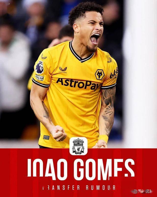 曼联有意若昂戈麦斯球员是狼队主力的简单介绍 第1张 曼联有意若昂戈麦斯球员是狼队主力的简单介绍 第1张