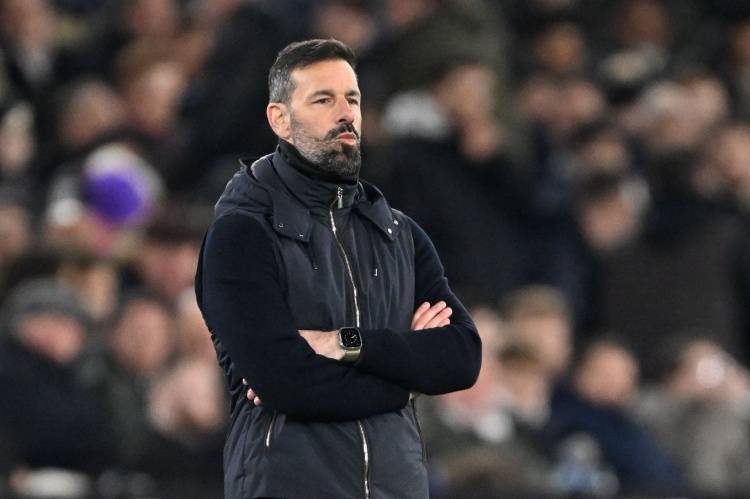 莱斯特城官宣范尼下课将在新赛季开始之前任命新主帅的简单介绍