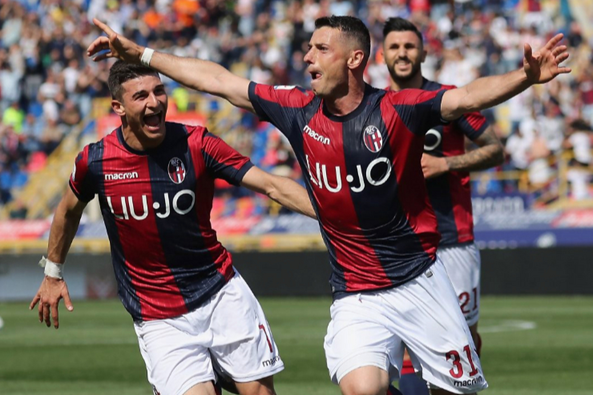 包含意丁G组：拿特多尔切VS诺切里纳的词条  第1张