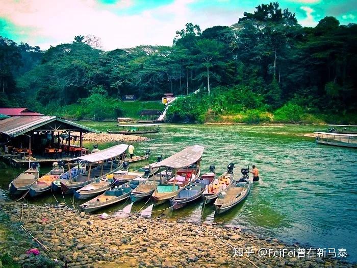 马来超：森美兰VS登嘉楼  第1张