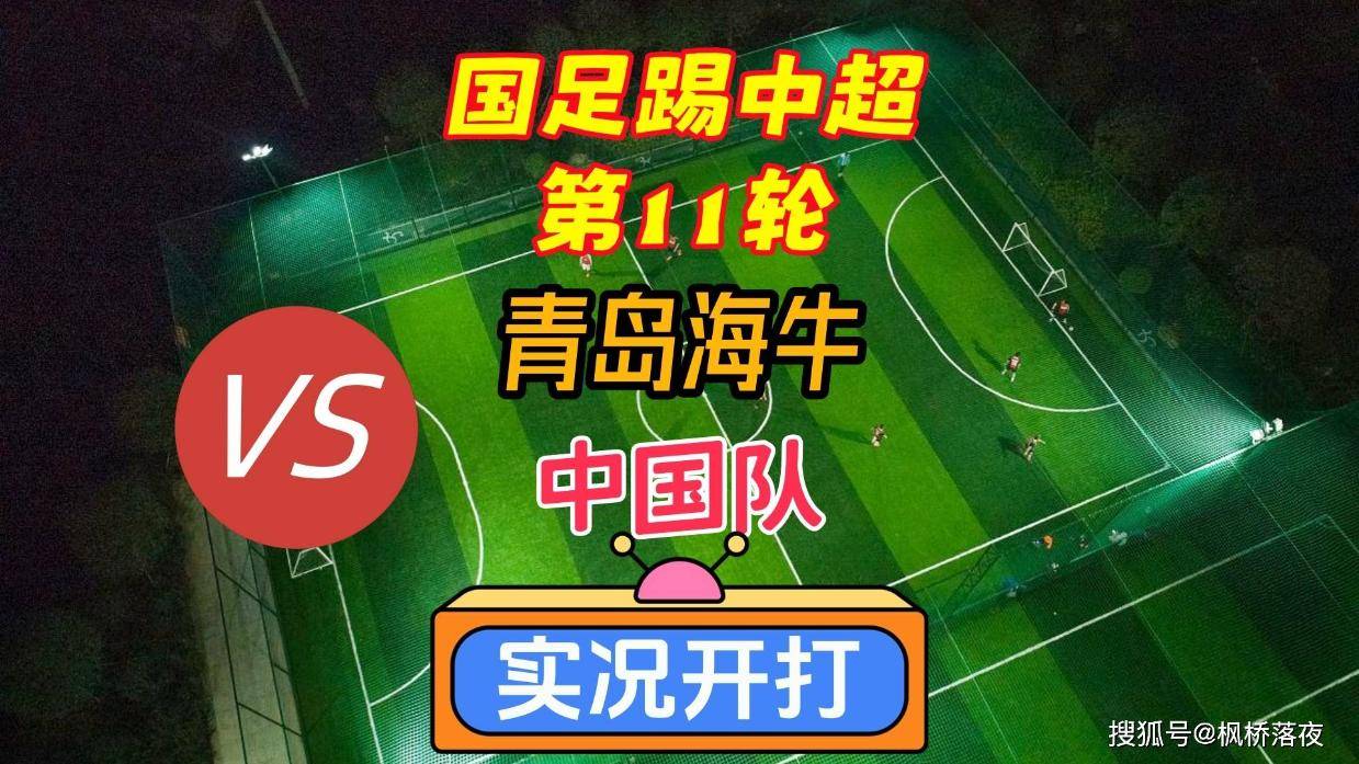 中超:浙江队VS青岛海牛 第1张 中超:浙江队VS青岛海牛 第1张