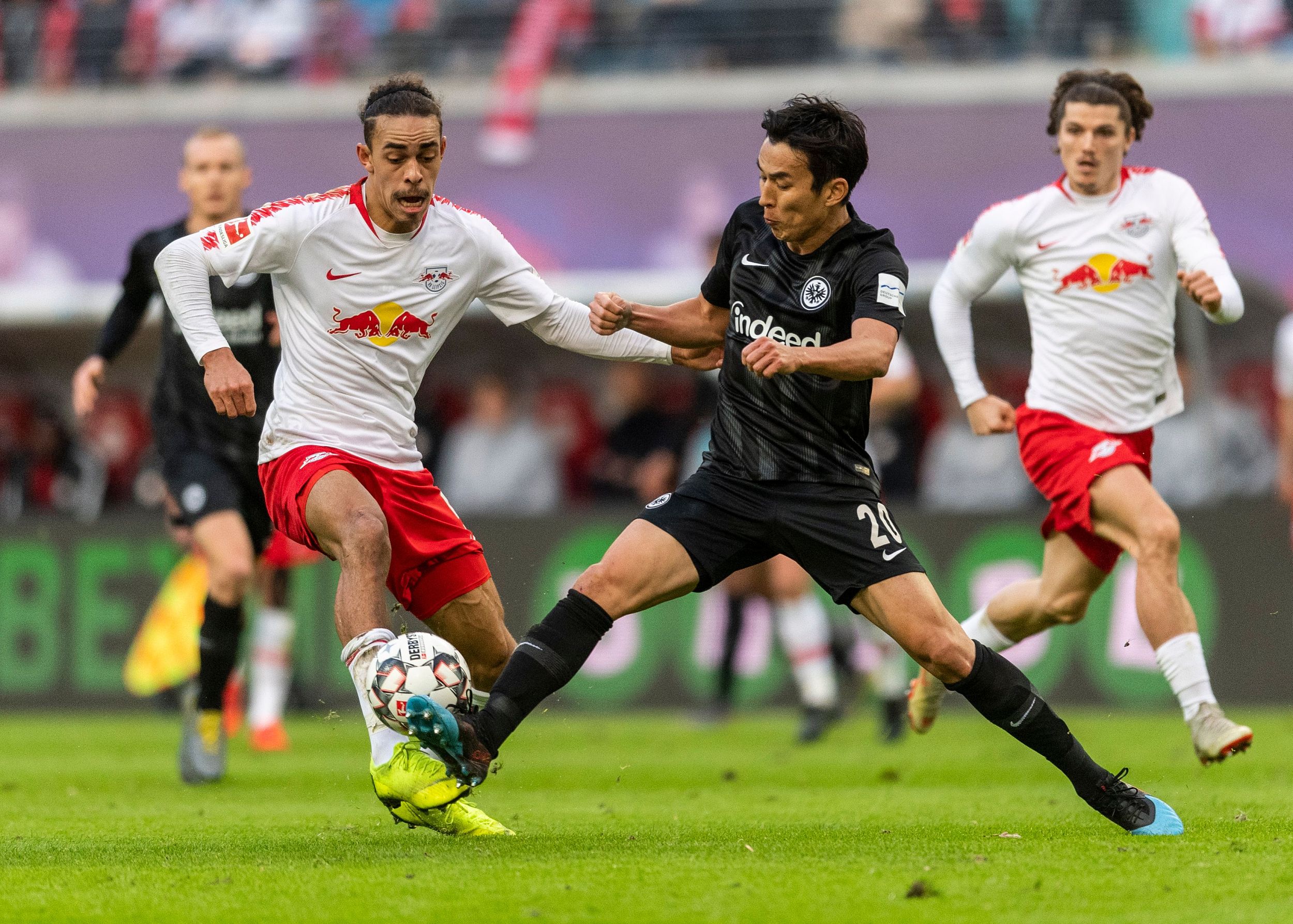 塞尔超：贝尔格莱德游击VS潘切沃铁路工人的简单介绍  第1张