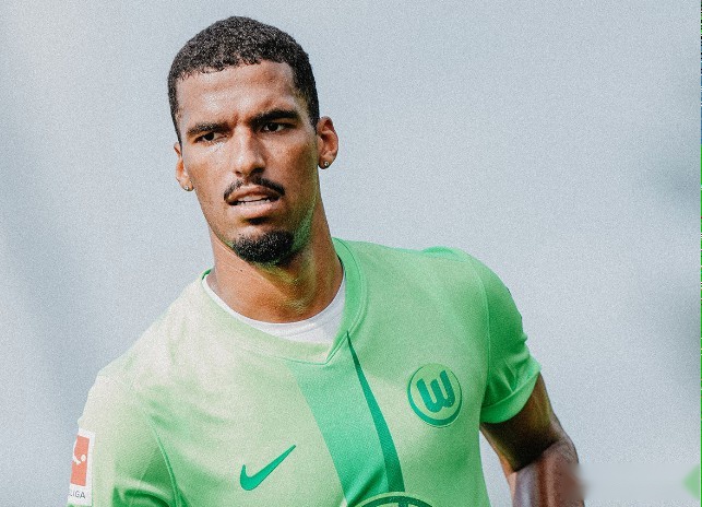 关于埃里克森加盟沃尔夫斯堡狼堡免签球员的信息