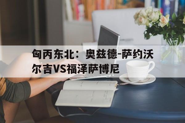 匈丙东北：奥兹德-萨约沃尔吉VS福泽萨博尼的简单介绍  第1张