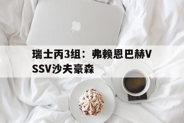 关于瑞士丙3组：弗赖恩巴赫VSSV沙夫豪森的信息  第1张