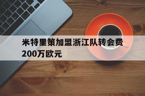 米特里策加盟浙江队转会费200万欧元的简单介绍 第1张 米特里策加盟浙江队转会费200万欧元的简单介绍 第1张